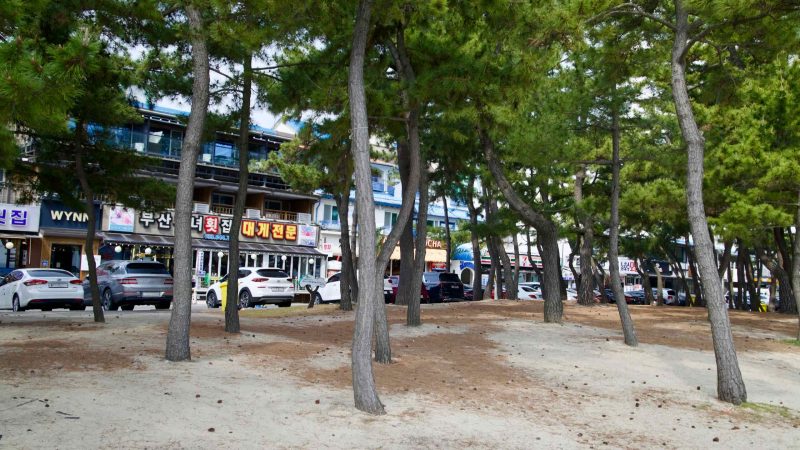 beach