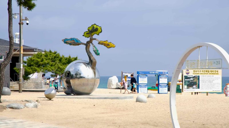 Steel tree sculpture and tsunami safety boards on Gyeongpodae Beach.