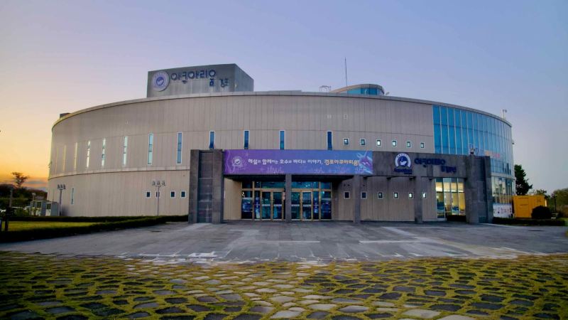 The Gyeongpo Aquarium is an attraction near Gyeongpo Lake.