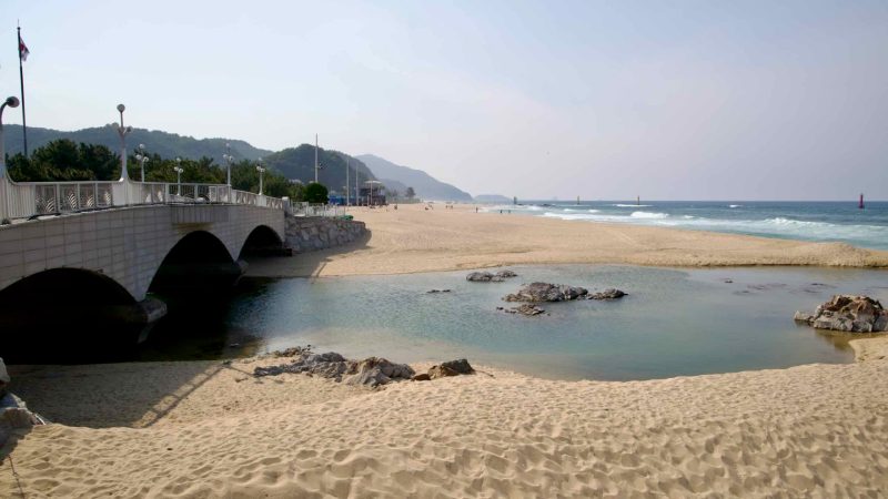 Jeongdongjin Hourglass Park: stream, white bridge, and golden sands meeting the East Sea.