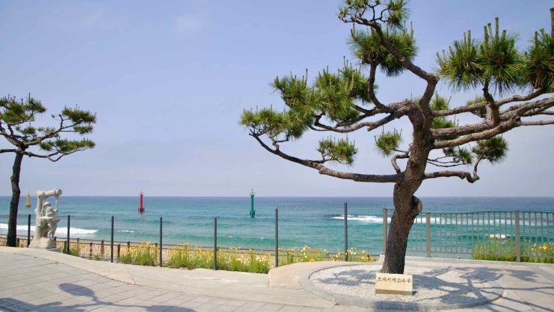 named tree