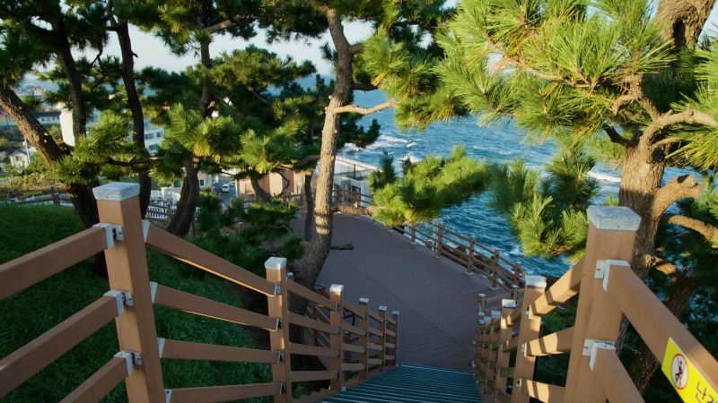walkway