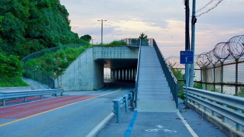 wooden ramp