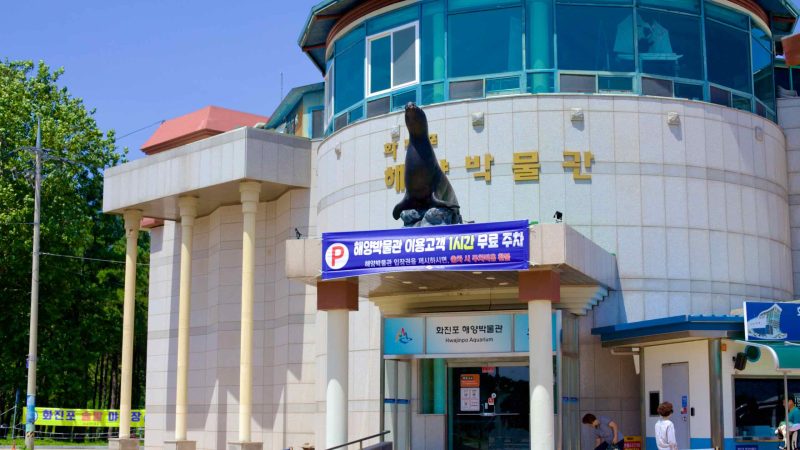 The round front of Hwajinpo Marine Museum, marked by a seal sculpture, invites exploration into Korea's marine biodiversity.