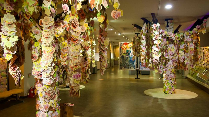 peace exhibit