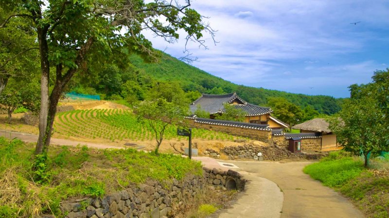 Korean culture