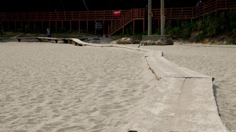 A well-worn set of wooden planks cuts across the soft sand of Deoksan Beach, guiding visitors toward the forest entrance of Deokbong Mountain’s coastal boardwalk.