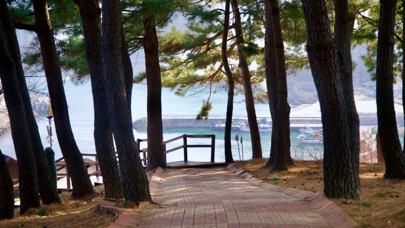 South Korea