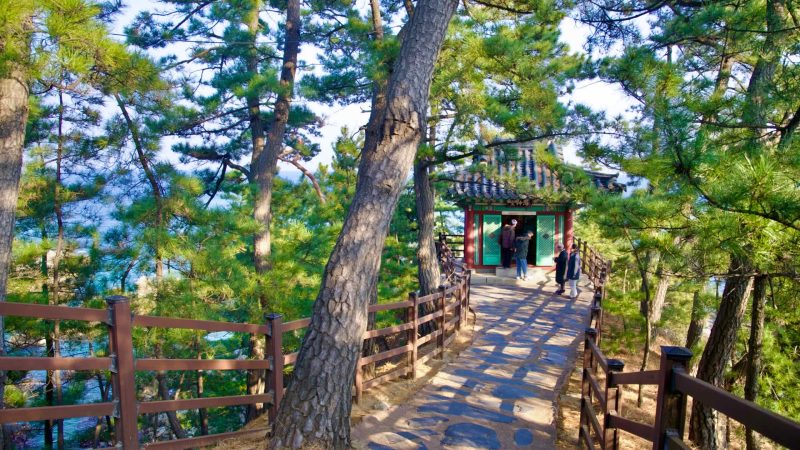 A small, tranquil shrine dedicated to the lost maiden, located at the end of a hiking path at the bottom of Haesindang Park, surrounded by pine trees, with people standing at its entrance.