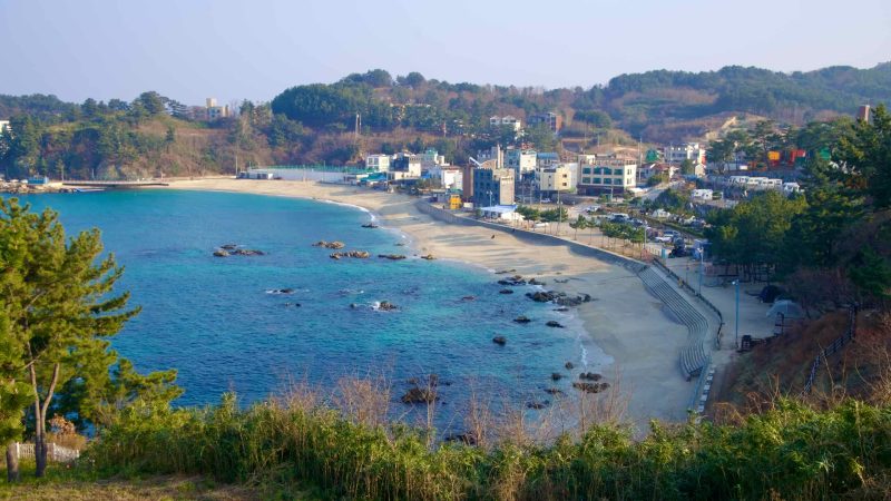 A view of Jangho Beach and patches of rocks near the sandy shoreline.