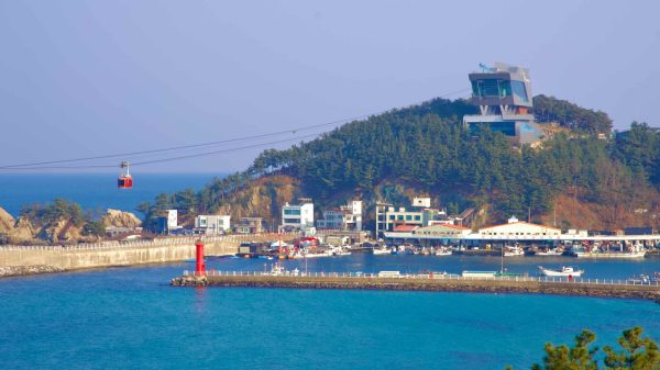 From a hillside vantage point, the Samcheok Marine Cable Car cables stretch over the calm bay of Jangho Port.