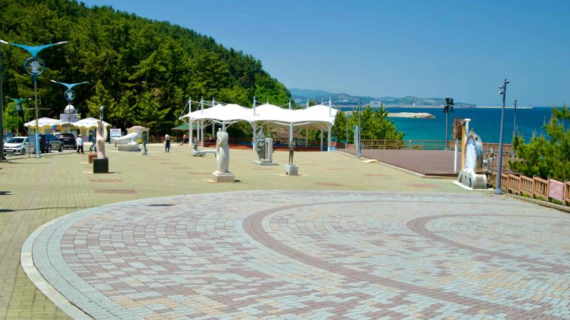 Visitors explore the Beach Sculpture Park in Samcheok, featuring various sculptures and a beautifully paved plaza.