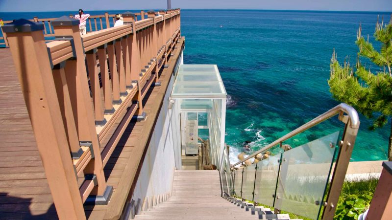 A view of the entrance stairs leading to the Marine Deck Cafe below the Beach Sculpture Park along Isabu Road.