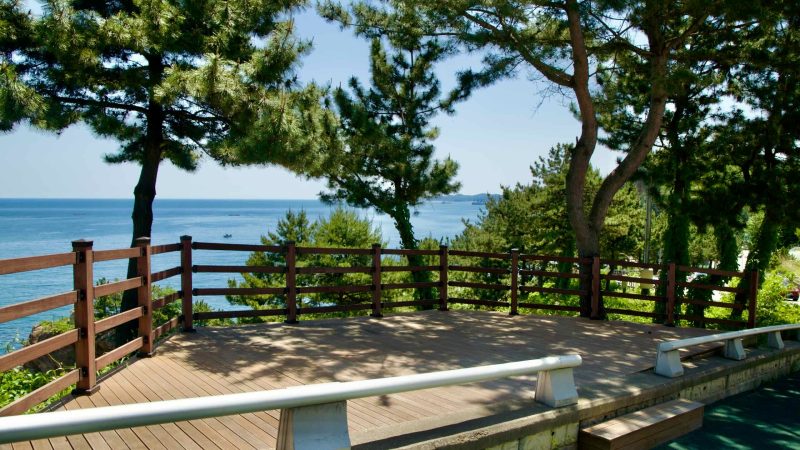 A lookout deck along Isabu Road provides a tranquil view of the East Sea and pine trees.