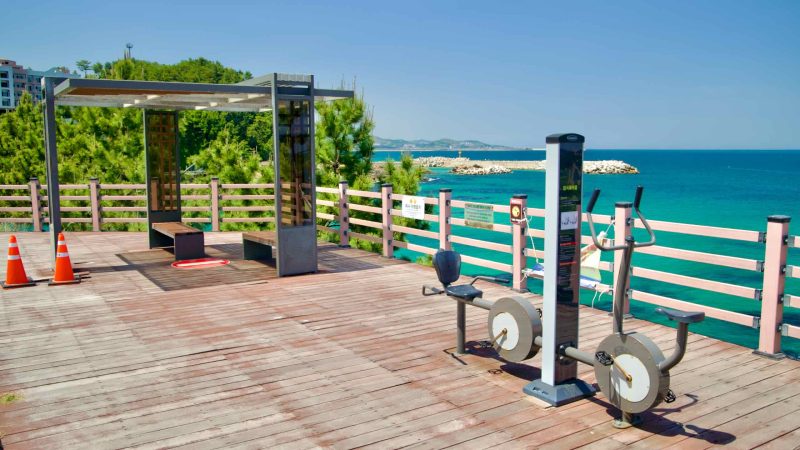 An outdoor exercise area along Isabu Road overlooking the East Sea, equipped with fitness machines and benches.