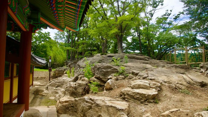Joseon