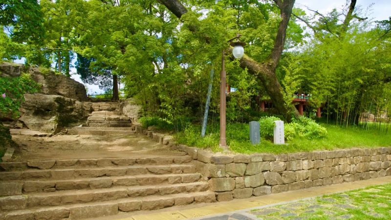 harmony with nature