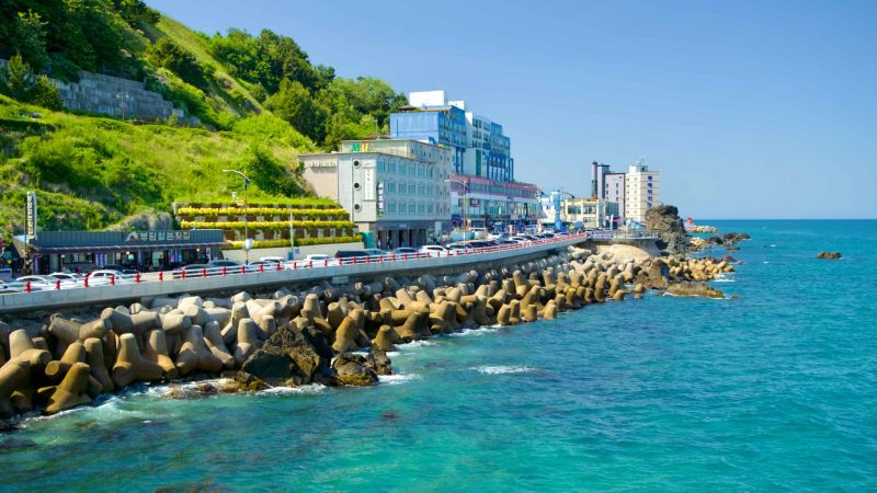 A coastal road near Mukho Port in Donghae lined with buildings and protective tetrapods.