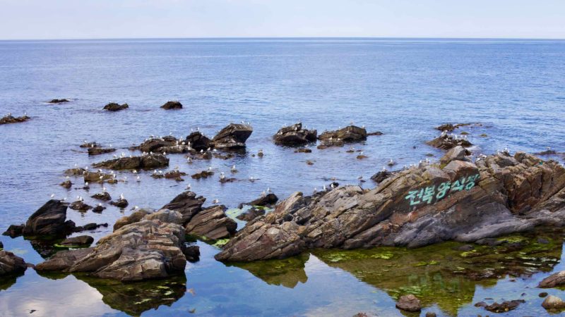 Calm waters surround jagged rocks just off the coast, where seagulls perch and one rock boldly declares "Abalone Farming" in Korean, painted in white against the serene backdrop.