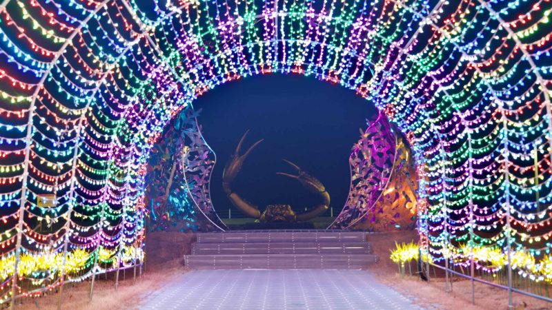 In Haeparang Park, snow crab sculptures are enchantingly framed by a tunnel of colorful Christmas lights, creating a festive and illuminated backdrop.