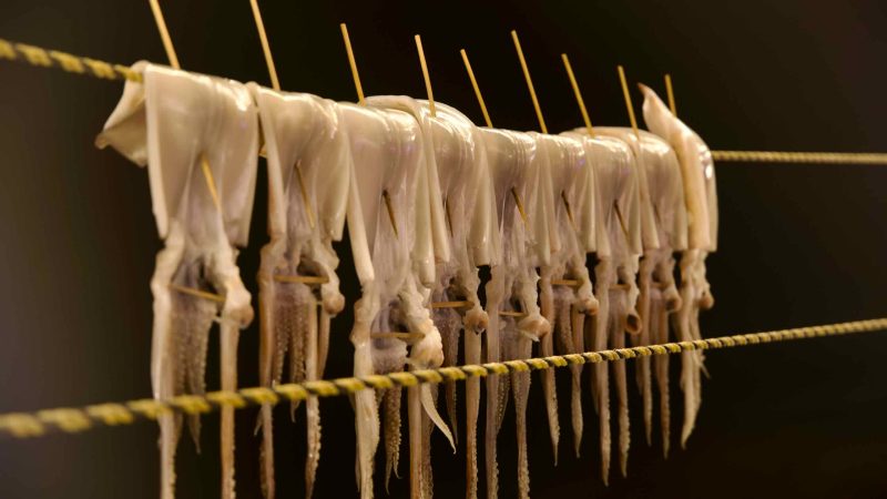 Fresh squid skewered and drying on waterside racks outside "Oh, Here is Las Vegas" restaurant near Ganggu Port, bathed in lights against the black night sky.
