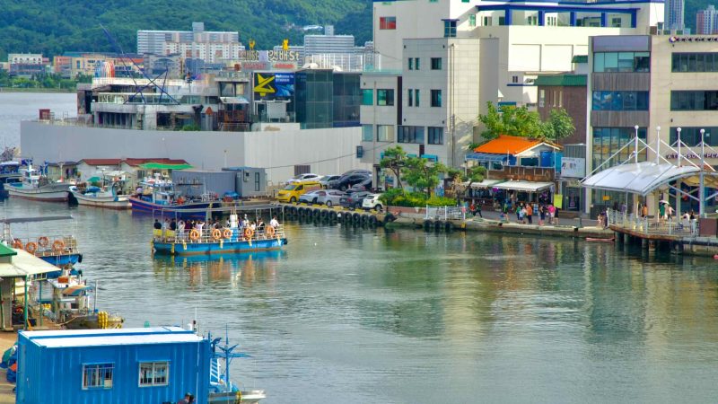 water transport