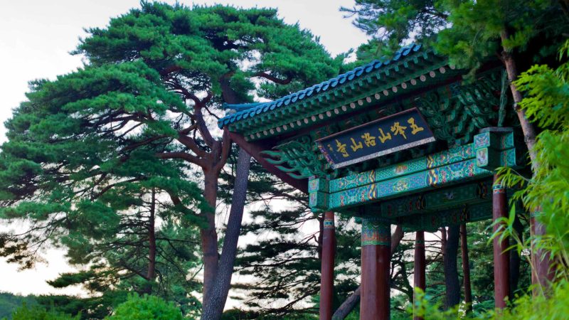 The green entrance gate to the historic Naksan Temple, surrounded by pine trees, marking a serene late-day entry to this 1500-year-old spiritual site.