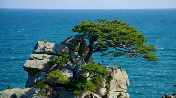 coastline