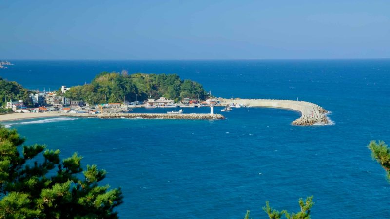 A panoramic view of Dongsan Port, featuring its curved breakwater, fishing boats, and surrounding forested hills, as seen from Jukdo Mountain Observatory.