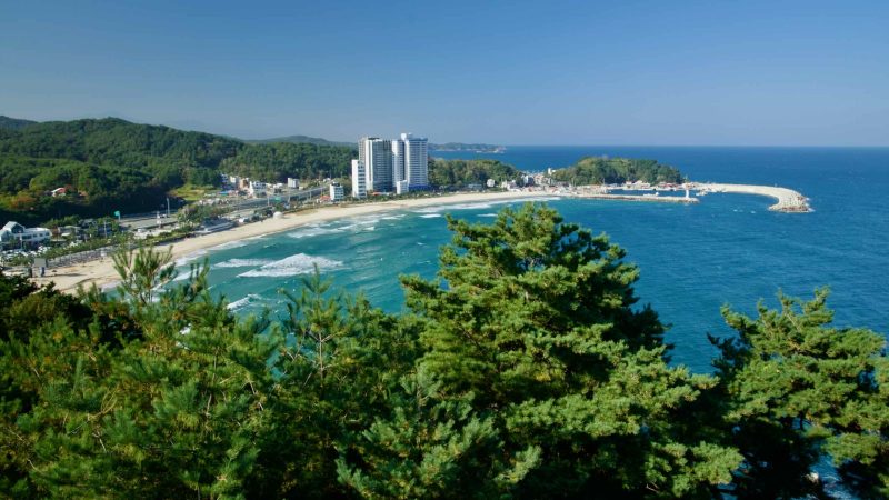 beach