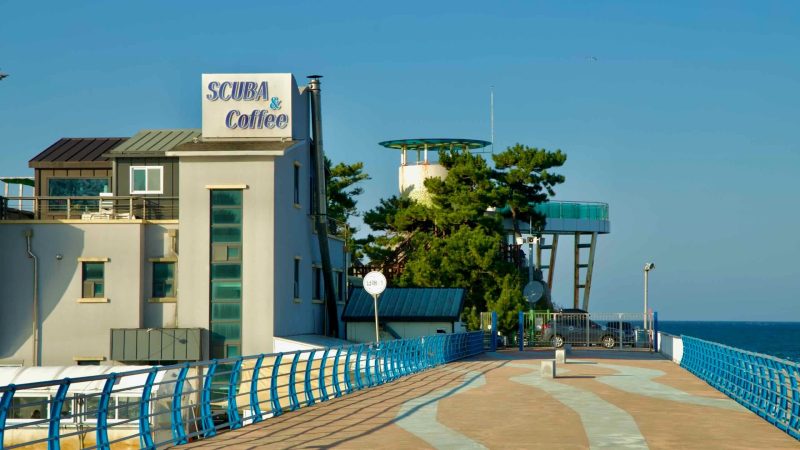 The Namae Port Skywalk Observatory rises behind a cozy cafe, offering stunning ocean views and a tranquil space for visitors along the East Sea.