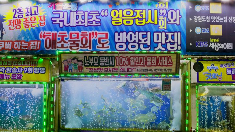 South Korea