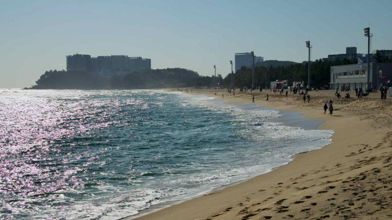 beach