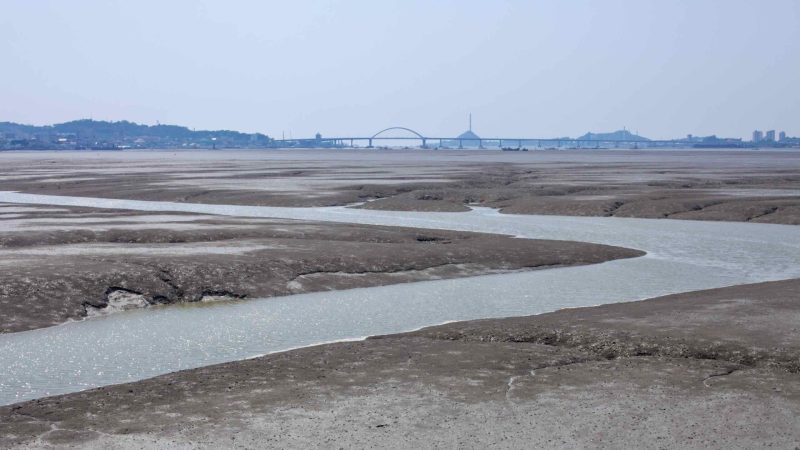 wetland habitat