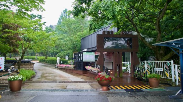 rainy