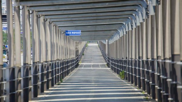 road network
