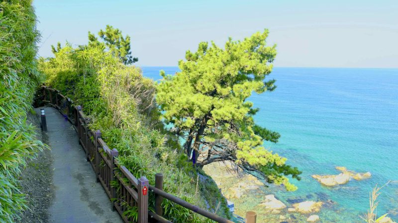 A picture of the “Dragon's Dream Path” (용의 꿈길) on the Jukbyeon Cape (죽변곶) in Jukbyeon Port (죽변항) along the Gyeongbuk (East Coast) Bicycle Path (동해안자전거길 (경북)) in Uljin County (울진군), South Korea.