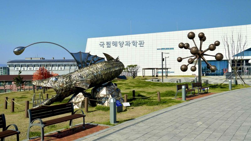 A picture of the National Maritime Science Museum (국립해양과학관) in Jukbyeon Port (죽변항) along the Gyeongbuk (East Coast) Bicycle Path (동해안자전거길 (경북)) in Uljin County (울진군), South Korea.