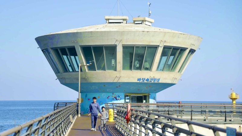 A picture of the National Maritime Science Museum (국립해양과학관) in Jukbyeon Port (죽변항) along the Gyeongbuk (East Coast) Bicycle Path (동해안자전거길 (경북)) in Uljin County (울진군), South Korea.
