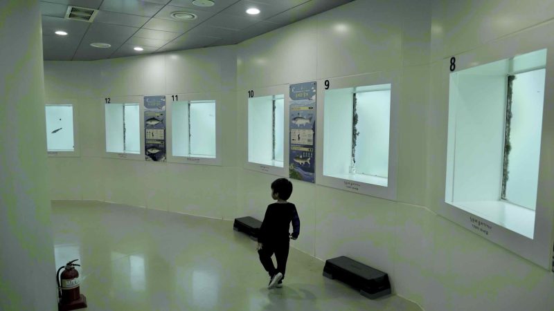 A picture of the National Maritime Science Museum (국립해양과학관) in Jukbyeon Port (죽변항) along the Gyeongbuk (East Coast) Bicycle Path (동해안자전거길 (경북)) in Uljin County (울진군), South Korea.