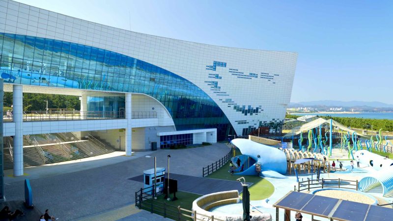 A picture of the National Maritime Science Museum (국립해양과학관) in Jukbyeon Port (죽변항) along the Gyeongbuk (East Coast) Bicycle Path (동해안자전거길 (경북)) in Uljin County (울진군), South Korea.