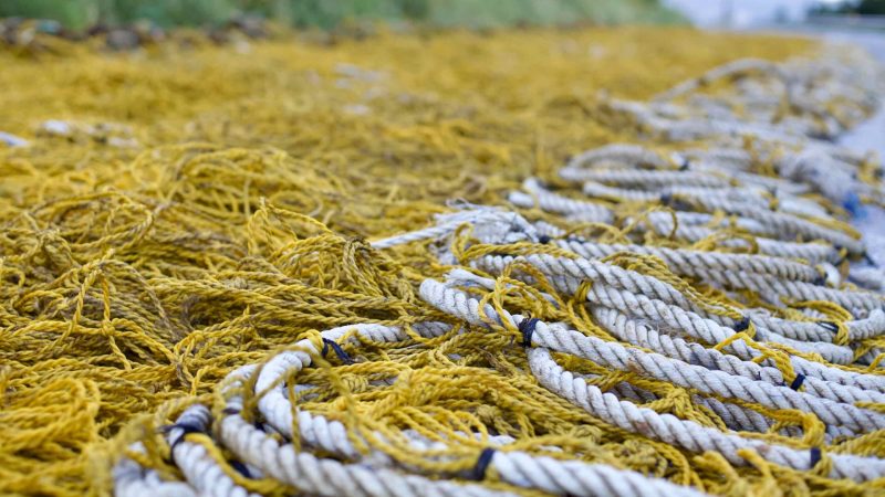 A picture of fishing nets at Hupo Port (후포항) in Uljin County, South Korea.