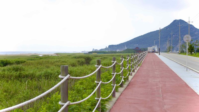 A picture of Goraebul Beach (고래불해수욕장) in Yeongdeok County, South Korea.