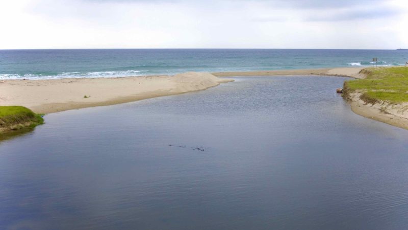 A picture of Daejin Beach (대진해수욕장) in Yeongdeok County, South Korea.