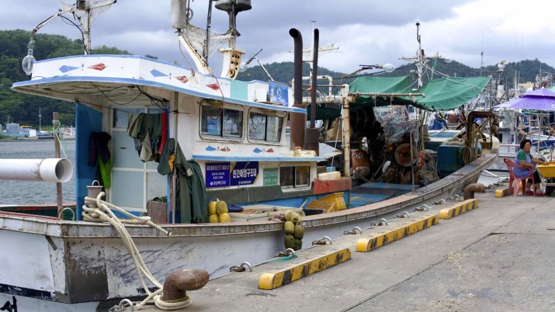 A picture of a fishing boat in Ganggu Port (강구항) in Yeongdeok County, South Korea.