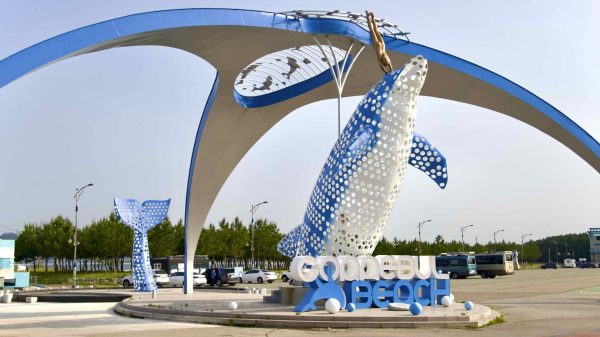 A picture of Goraebul Beach (고래불해수욕장) in Yeongdeok County, South Korea.