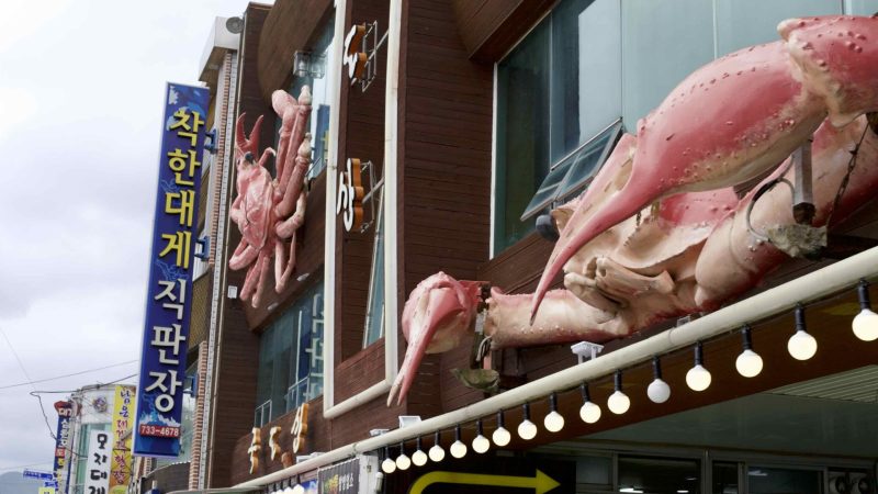 A picture of “Snow Crab Street” (영덕대게로) in Ganggu Port, Yeongdeok County, South Korea.