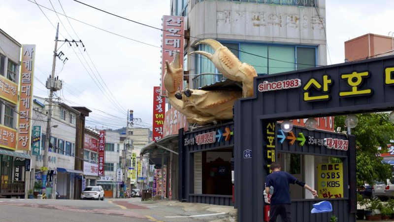 A picture of “Snow Crab Street” (영덕대게로) in Ganggu Port, Yeongdeok County, South Korea.