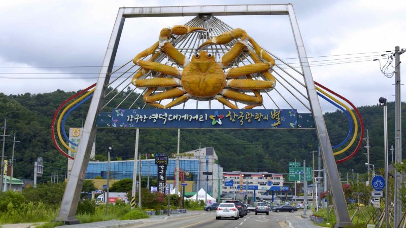 A picture of Ganggu Grand Bridge in Yeongdeok County, South Korea.