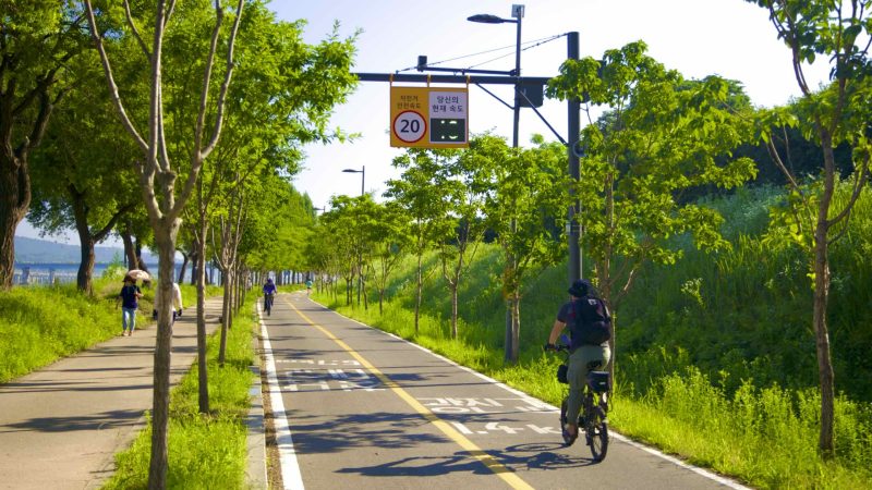 A picture of cyclists in Gwangnaru Hangang Park (광나루한강공원) in Seoul, South Korea.